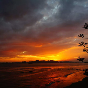 宁雨昔后臀进入翘臀喘息呻吟
